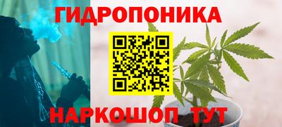 гашик Бузулук