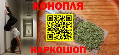 гашик Бузулук
