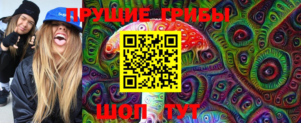 Галлюциногенные грибы Cubensis Пугачёв