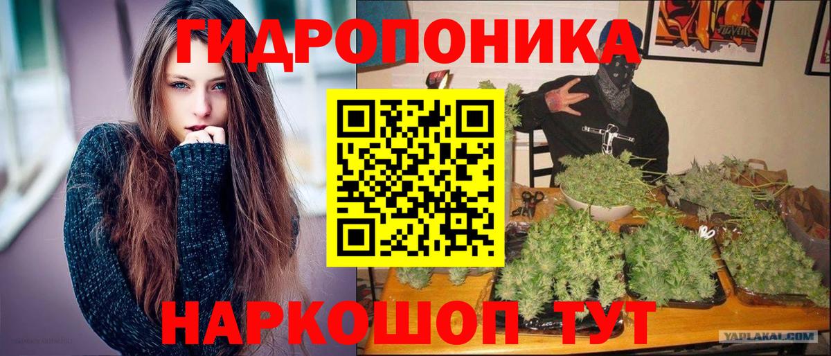 Пугачёв  Шишки марихуана White Widow  Бошки марихуана конопля  Вход с VPN  Канабис AK-47 